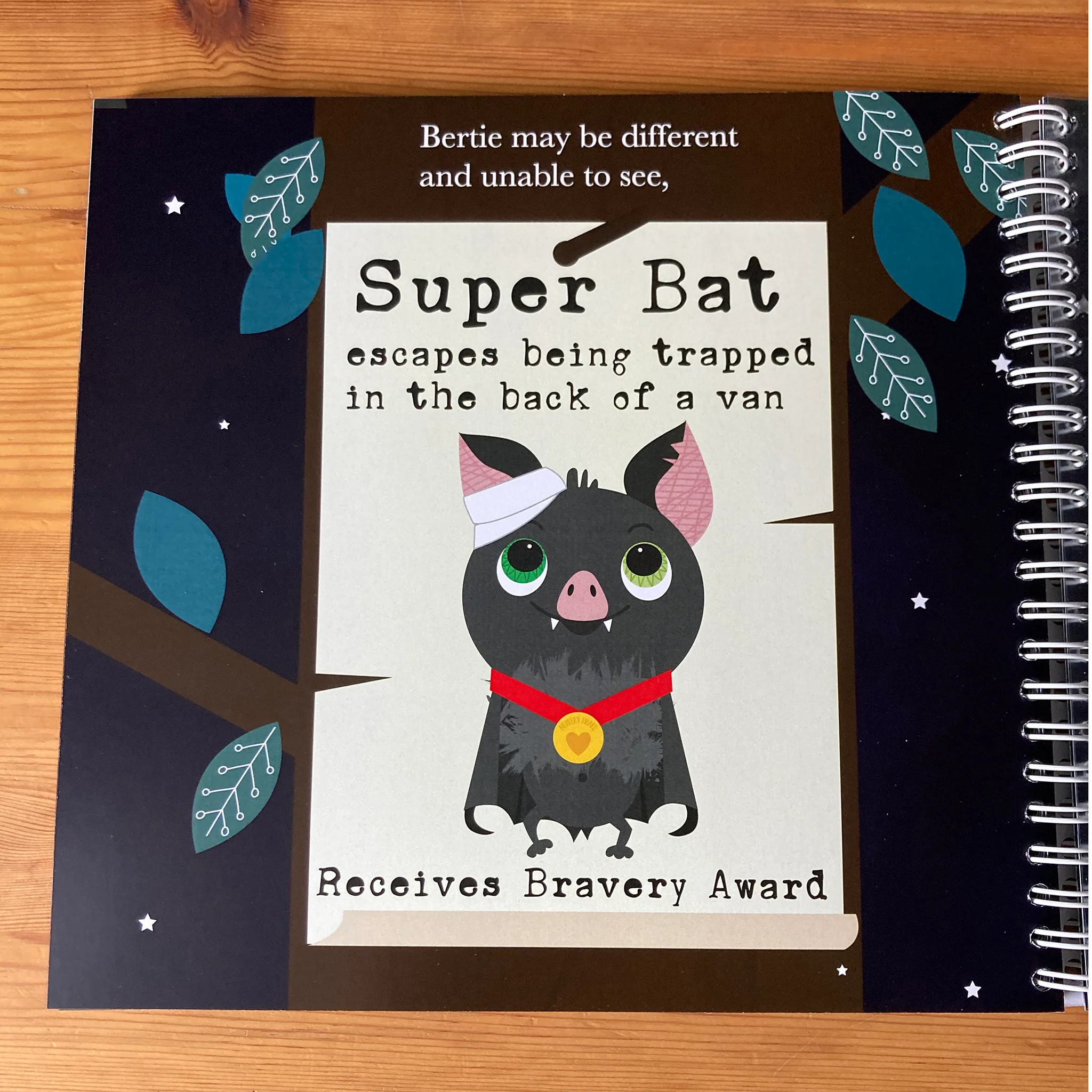 Bertie the very blind bat (uncontracted UEB) - Image 3